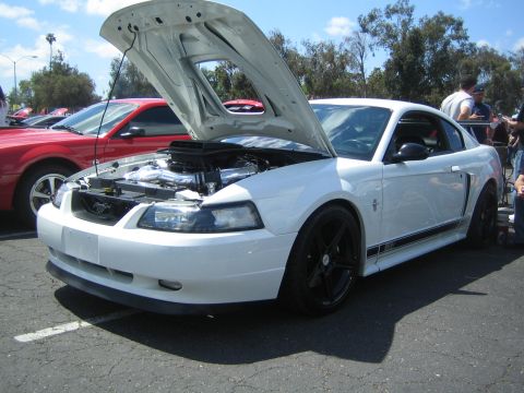 1968 Ford Mustang - White Ford Mustang from the early 2000s with its hood open at a car show.