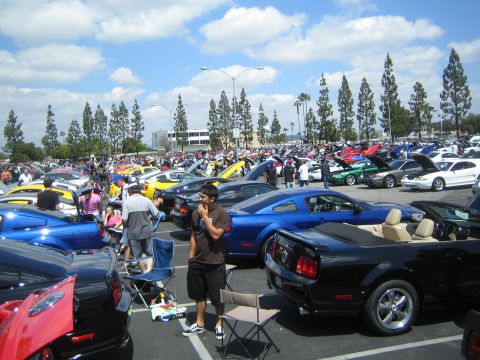 1968 Ford Mustang - A large gathering of Ford Mustangs at an outdoor car show event.