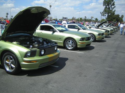 1968 Ford Mustang - Several Ford Mustangs are lined up with their hoods open at an outdoor car show.
