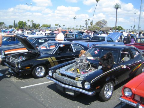 1968 Ford Mustang - Modified Ford Pintos are displayed at a car show with their hoods up.