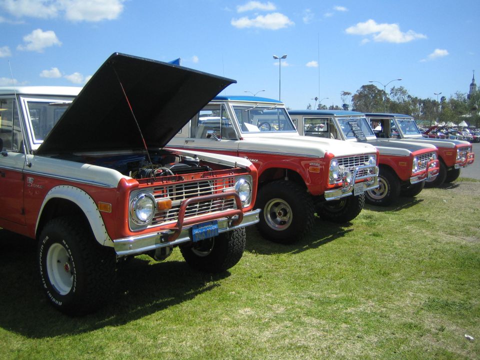 Line of orange and white Ford Broncos with hoods open, parked on grass