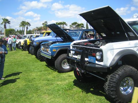 1968 Ford Mustang - Several Ford Broncos are displayed with their hoods open at an outdoor car show.