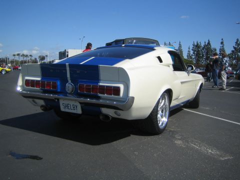 1968 Ford Mustang - Rear view of a white 1968 Shelby GT500 Mustang with blue racing stripes and a Shelby license plate.