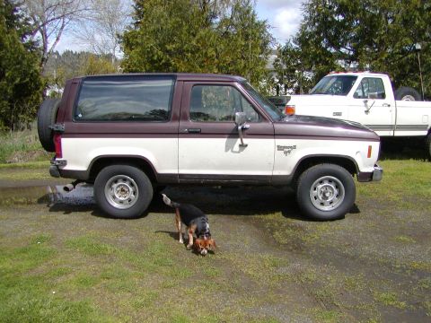 1987 Ford Bronco II - A two-tone Ford Bronco II is parked on a grassy area next to a white pickup truck.