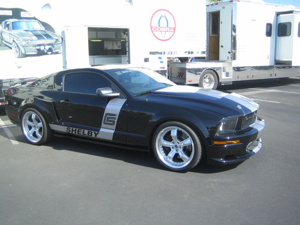 Black Shelby Mustang with silver racing stripes and 'SHELBY' decal on the side