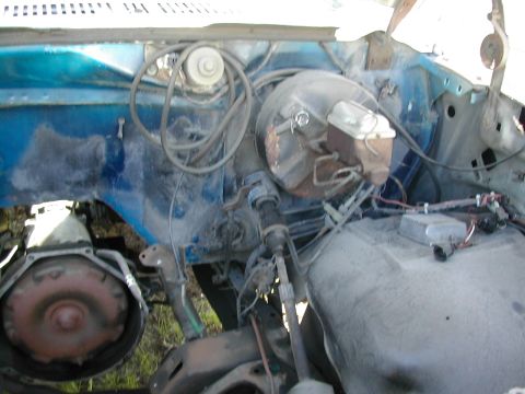 1981 Ford Bronco - The engine bay of a vehicle, with various mechanical components visible.