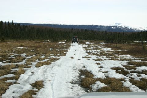 2003 Jeep TJ - A dark SUV drives away on a snowy dirt road through a sparse, grassy landscape with a dense pine forest and distant mountains.