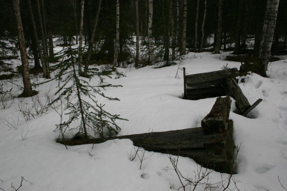 Wooden structure partially buried in snow, surrounded by trees