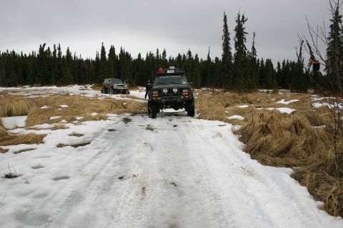 2003 Jeep TJ - Two off-road vehicles navigate a snowy and marshy trail surrounded by pine trees.