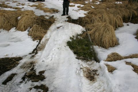 2003 Jeep TJ - A snowy trail with tire tracks and dry grass, a person is visible in the distance.