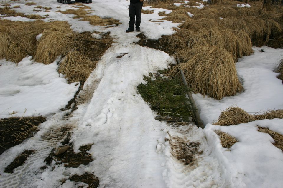Snowy trail with tire tracks and dry grass, a person stands in the background