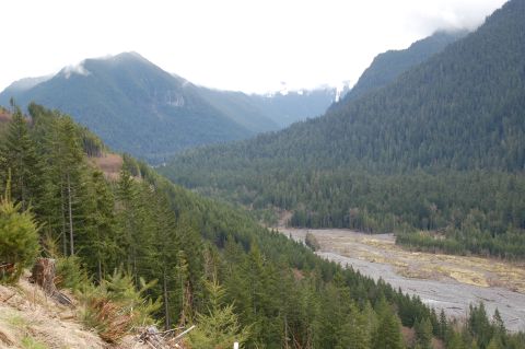 2001 Ford Taurus - A vast mountain landscape unfolds, characterized by steep, tree-covered slopes and a wide, rocky riverbed.