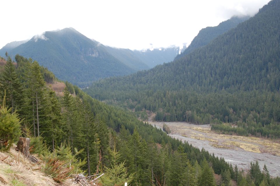 Mountain valley with dense evergreen forests and a dry riverbed, under a cloudy sky