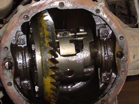 1981 Ford Bronco - Close-up view of the internal gears and components within a vehicle's differential.