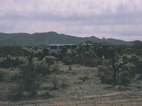 1989 Ford Bronco - group shot