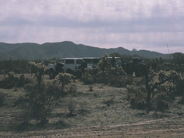 Several SUVs parked together in cholla-cactus desert under overcast sky with mountains