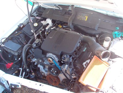 1994 Ford Crown Victoria - SOLD Engine Cover