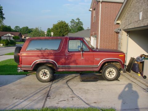1983 Ford Bronco photo