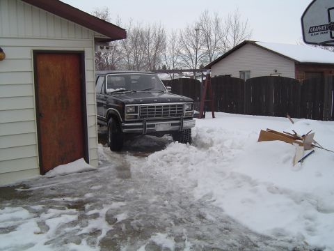 1995 Ford Bronco - Hibernating for the winter