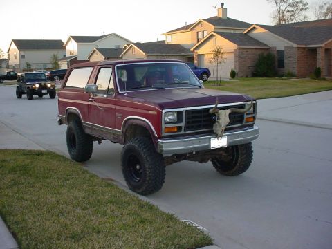 1983 Ford Bronco photo
