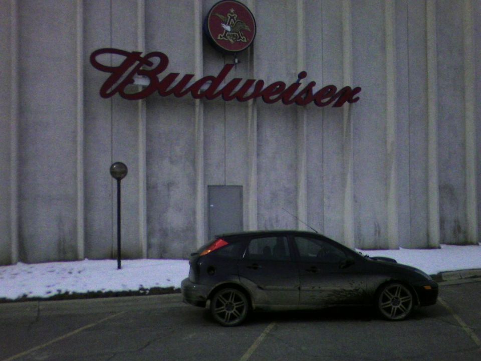 Dark 2002 Ford Focus hatchback parked outside a Budweiser building