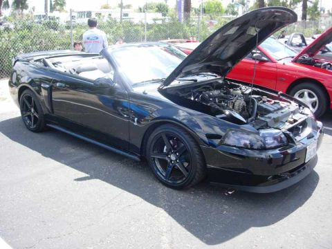 1998 Ford Crown Victoria - black New Edge Ford Mustang convertible with black wheels and top down sits hood-up in a car-show lot.