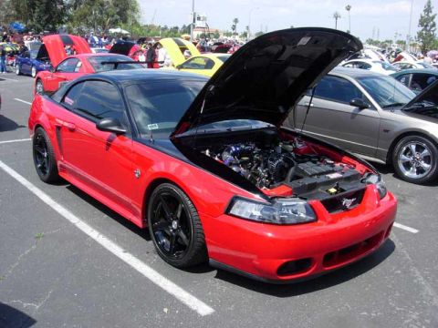 1998 Ford Crown Victoria - red New Edge Ford Mustang with black wheels and hood up sits among other Mustangs at a car show.