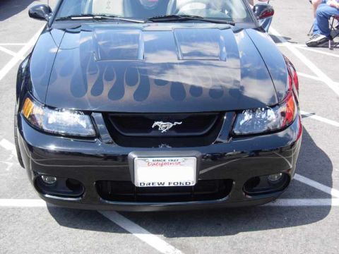 1998 Ford Crown Victoria - Front view of a black New Edge Ford Mustang Cobra with ghost flames, pony grille badge, and a Drew Ford plate.