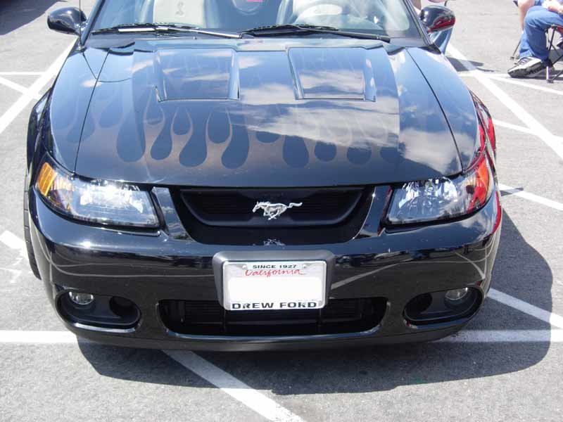 Front of black New Edge Mustang Cobra with gray flames