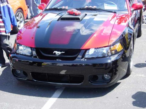 1998 Ford Crown Victoria - Front view of a black New Edge Mustang Cobra with a red-to-black flame stripe and pony grille badge in a show lot.