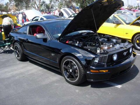 1998 Ford Crown Victoria - black S197 Ford Mustang GT with black wheels and red interior sits hood-up at a crowded car show.