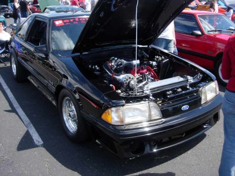 1998 Ford Crown Victoria - black Fox-body Mustang badged 5.0 sits with its hood up revealing a chromed supercharged engine at a sunny car show.