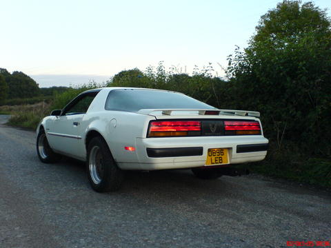 1994 Ford Thunderbird - A white Pontiac Firebird is parked on a dirt road with trees in the background.
