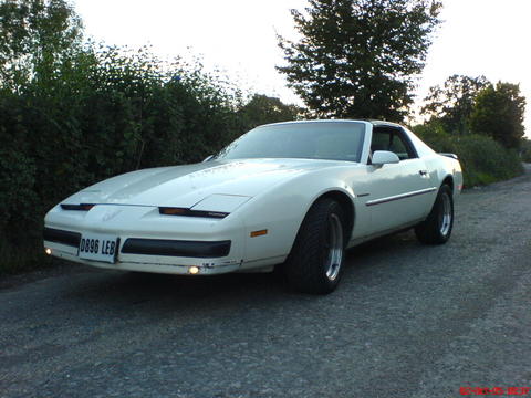 1994 Ford Thunderbird - This white 1987 Pontiac Firebird is seen from a three-quarter front angle on a gravel road.