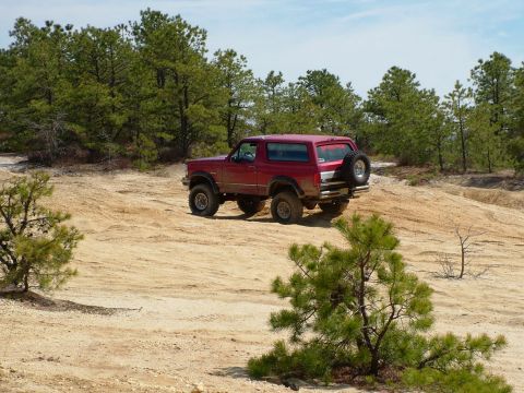 1994 Ford Bronco - 1994 Ford Bronco navigating a sandy off-road path with pine trees in the background.