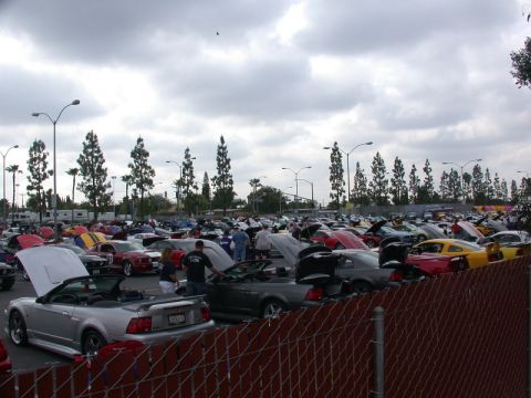 1990 Ford Probe - New mustangs...
