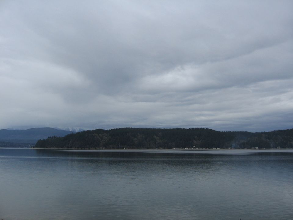 Overcast water inlet with forested shoreline and distant hills under gray clouds
