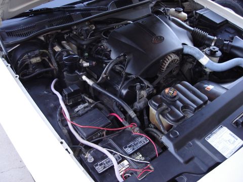 2000 Ford Crown Victoria - Engine bay of a 2000 Ford Crown Victoria, showing the V8 engine and associated components.
