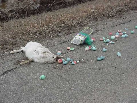 1977 Ford F-150 - A rabbit lies on the road amidst a scattering of broken Easter eggs and an overturned basket.