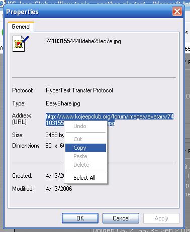 1998 Jeep TJ - A properties window displays file information, including a URL, with a context menu active.