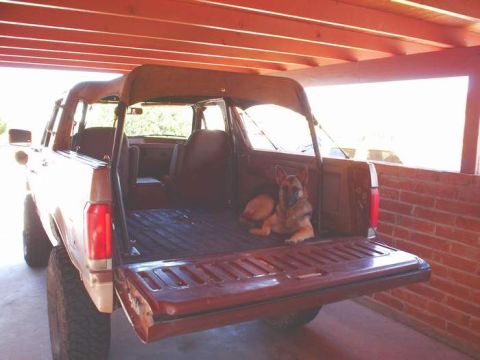 1989 Ford Bronco - A German Shepherd rests in the open tailgate of a brown 1989 Ford Bronco parked under a covered patio.