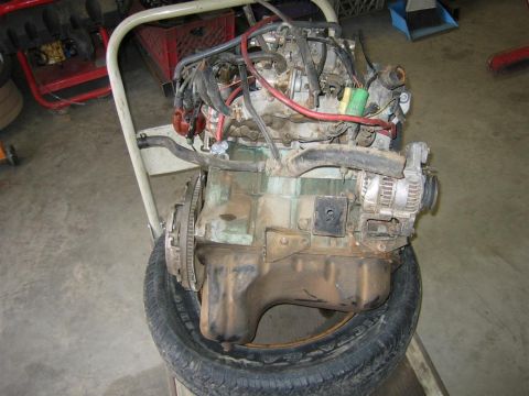1987 Suzuki Samurai - Fresh pull 3