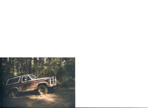 1983 Ford Bronco - In her element
