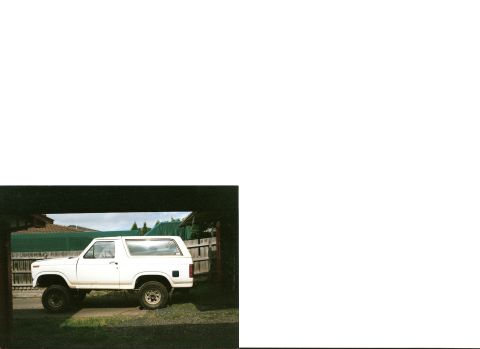 1983 Ford Bronco - Just off the tow truck