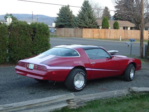 1976 Pontiac Firebird “Nite Life”