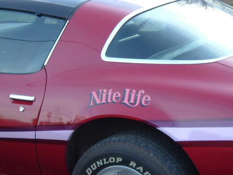 1976 Pontiac Firebird - The side panel of a red coupe features a 'Nite Life' decal and a purple stripe below the door handle.