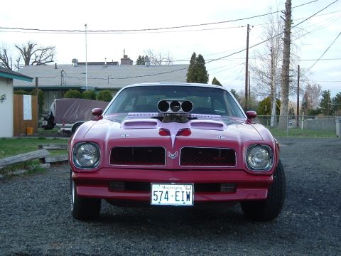 1976 Pontiac Firebird - This 1976 Pontiac Firebird features a prominent hood scoop and custom paint accents on the hood.