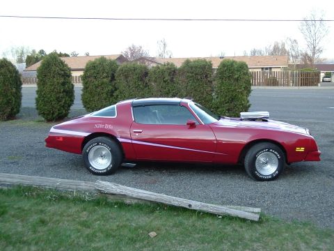 1976 Pontiac Firebird - This car has a custom hood scoop and a side stripe with 'Nite Life' text on the rear fender.