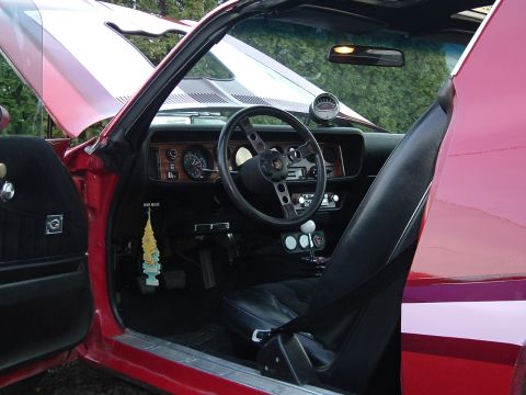 1976 Pontiac Firebird photo
