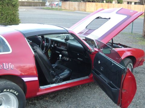 1976 Pontiac Firebird photo
